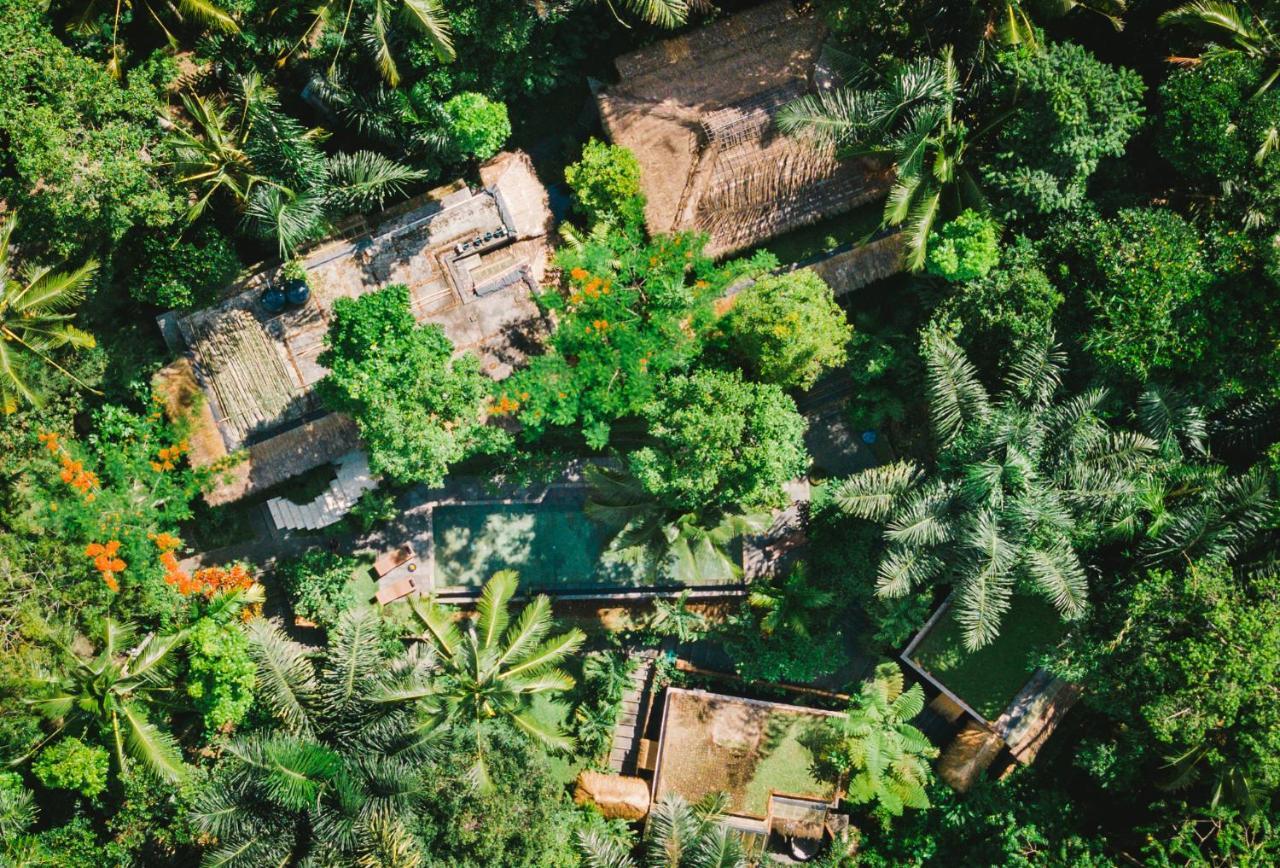 טגלאלאנג Villa Rimba Ubud מראה חיצוני תמונה