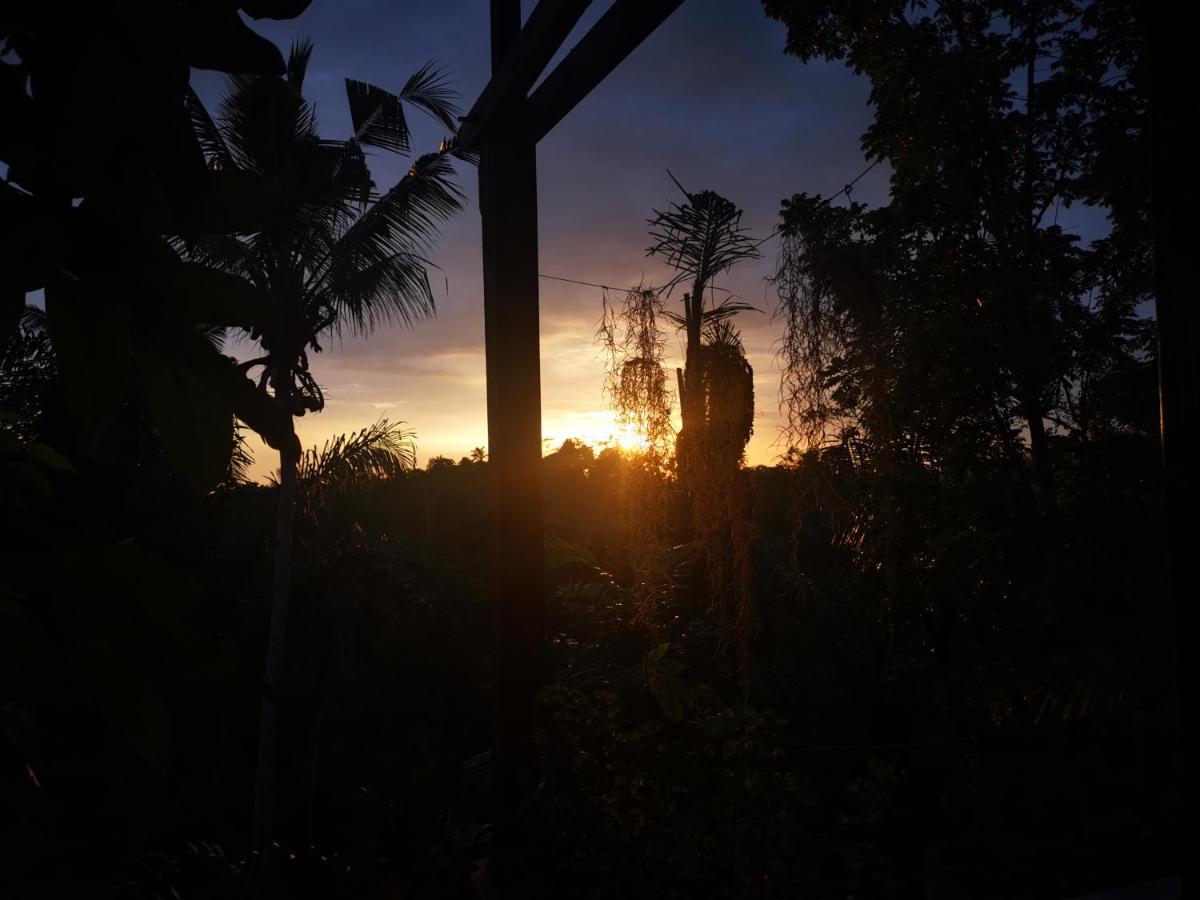 טגלאלאנג Villa Rimba Ubud מראה חיצוני תמונה
