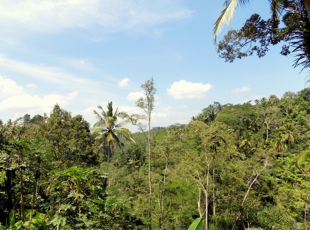 טגלאלאנג Villa Rimba Ubud מראה חיצוני תמונה
